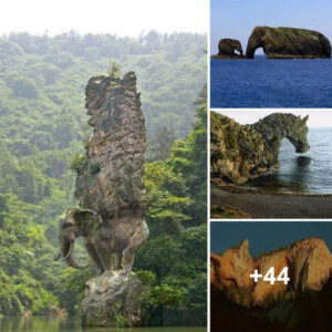Maravillas Geológicas Reveladas Esculturas Vivientes De La Naturaleza En Forma De Rocas Con Forma De Animales