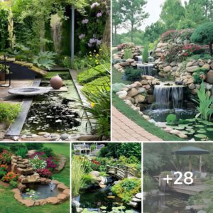 Las 28 Mejores Ideas Hermosas Para Jardines Acuáticos Topaz Enhance