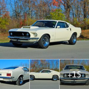 Unveiling The Timeless Beauty The Legend Of The 1969 Ford Mustang Boss 429 Fastback